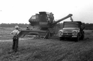 У ЗиЛа борта слабовато нарощенные. У нас два водилы соревновались, наращивали борта так, что в один кузов свыше пяти с половиной тонн зерна помещалось. Чем выше грузовместимость, тем меньше времени на езду тратилось.
