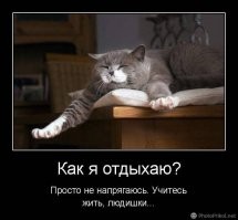 С добрым утром!