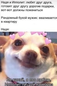 Два русских мужика, один из Москвы, другой с Питера - делят Польшу (не мое)