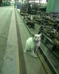 Наши трудяги!