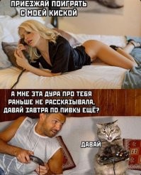 Кот помог хозяевам провести кабель