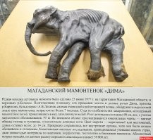 18 редких фотографий из прошлого, которые рассказывают занимательные истории