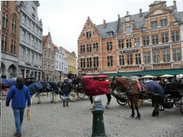 Испуганные пьяным прохожим кони травмировали детей на Дворцовой площади в Петербурге