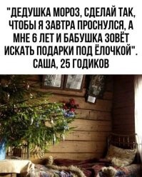 Эхе-хе... Встал первого раньше всех, даже кот ещё дрых, заглянул под ёлку, а там ни удочки, ни коньков, ни клюшки, ни оловянных солдатиков... Лёша, 52 годика.