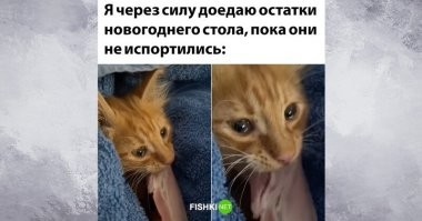 каждый раз себе говорю что надо готовить меньше, по тому что есть не свежее это противно, а иногда даже опасно

в этом году я почти попал в этот предел) только слегка "преготовил"