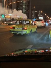 Автовсячина