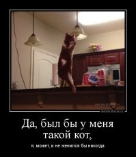 Кот помог хозяевам провести кабель