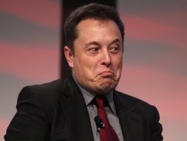 На севере Калифорнии Tesla сорвалась с обрыва с высоты 75 метров. Все пассажиры выжили
