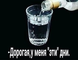 Фотоприколы и прикольные картинки