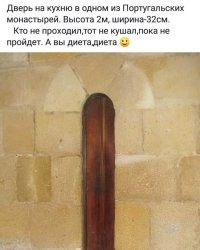 Фотоприколы и прикольные картинки
