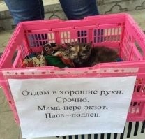 Фотоприколы и прикольные картинки