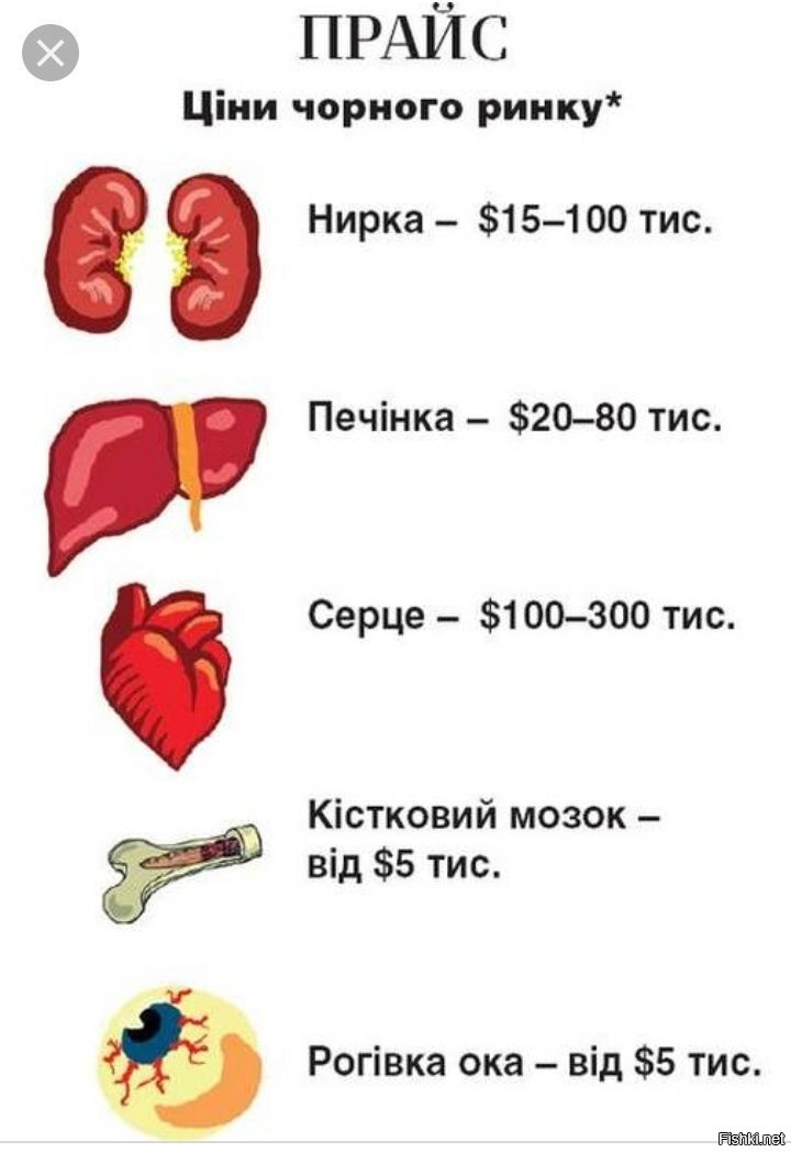Продажа органов человека. Стоимость органов человека. Колько сточт органы человека. Расценки на человеческие органы.