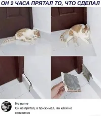 А кот здесь причём?
Если плинтус на соплях держался, то он и без кота отвалился бы. А если б он нормально приклеин был, то кот его не отодрал бы.
Так что тут дело точно не в коте!