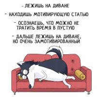 17 забавных и жизненных комиксов про пса Карла