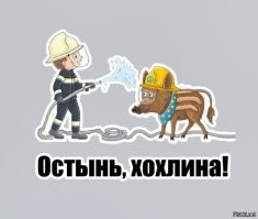 Рогозин отправил осколок снаряда, извлечённый из его спины, послу Франции