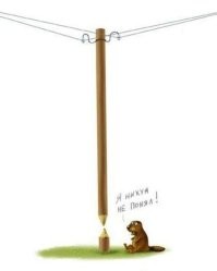 20 фото с просторов сети, которые с первого взгляда кажутся нереальными