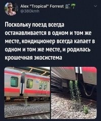 А это точно кондиционер капает?