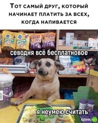 Эх, жаль, что у меня нет такого друга...