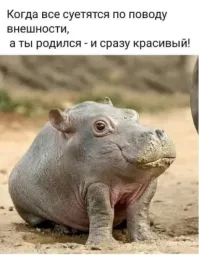 15 девушек показали, как красиво они умеют делать макияж глаз