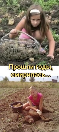 Жизнь деревенская