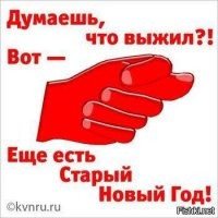 Фотоприколы и прикольные картинки