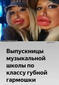 Весёлые картинки