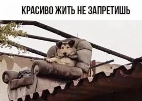 Крыша двойная. Олигархи.