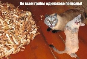 Кадр и за кадром