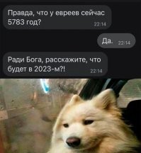 Всемирный потоп