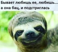 Фотоприколы и прикольные картинки