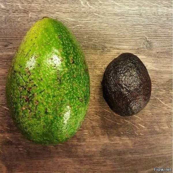 Пока этот венесуэльский авокадо довезут до Германии это то во что он превратиться.