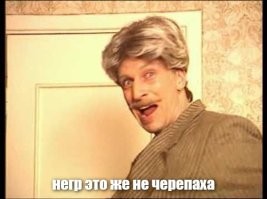 Как у белой пары могли родиться близнецы с разным цветом кожи