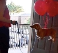 напомнило, не знаю почему