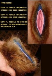 "Ошибка немношк..": двух бородачей, издевавшихся над пьяной девушкой в авто, поймали и заставили извиниться