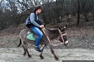 вариантов хватает