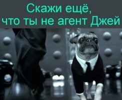 Не твоя, ага.