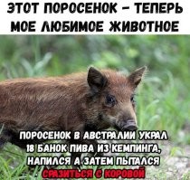Может к ним в гости этот приехал?