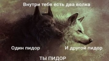 «Санитар леса»: почему волки важны для экосистемы