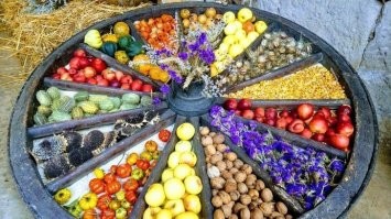 какой нахрен "день благодарения" в Германии?!!
чисто пиндосский праздник