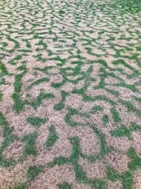 ..я бы сказал, что это больше похоже на картинку-лабиринт )