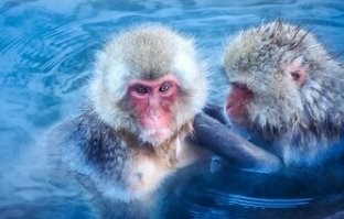 30 наглядных ответов на вопрос "Что будет, если...?"