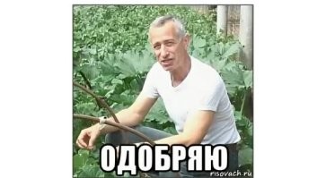 Огурец преткновения: польский журналист и сенатор устроили ссору из-за российских овощей