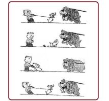 Никуда не уходи: собаки выясняют отношения через стеклянную дверь