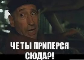 «Чищу толчки, чищу овощи»: россиянин пожаловался на жизнь в Америке
