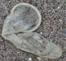 «Он подписал себе приговор»: в Госдуме прокомментировали скандальное выступление Максима Галкина* в Дубае