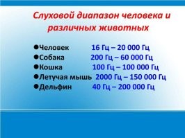 что же пёсель там услышал ?