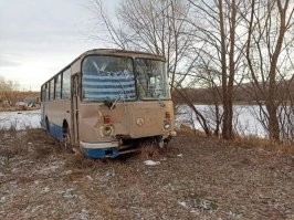 Траву жрет?