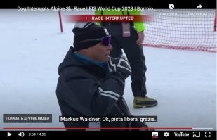 Всё правильно сказал.