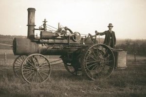 35 диковинных и неожиданных находок в лесу