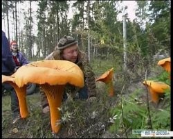 Да у же есть такой фильмец----"Русские страшилки" называется.